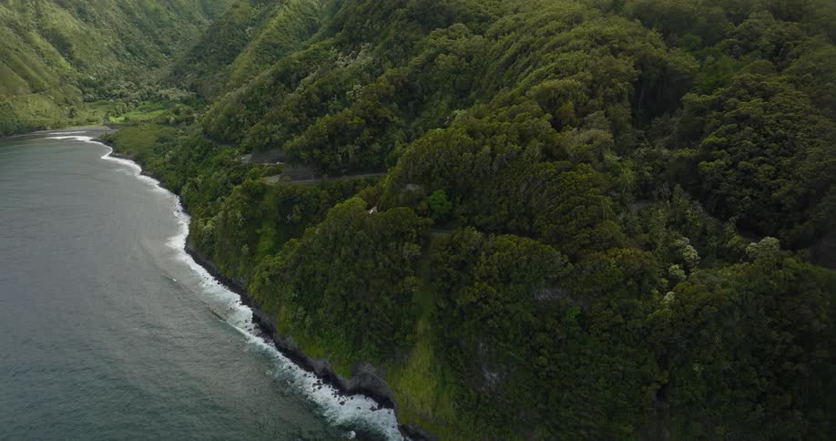 Aerial view of the ocean near a rainforest is displayed