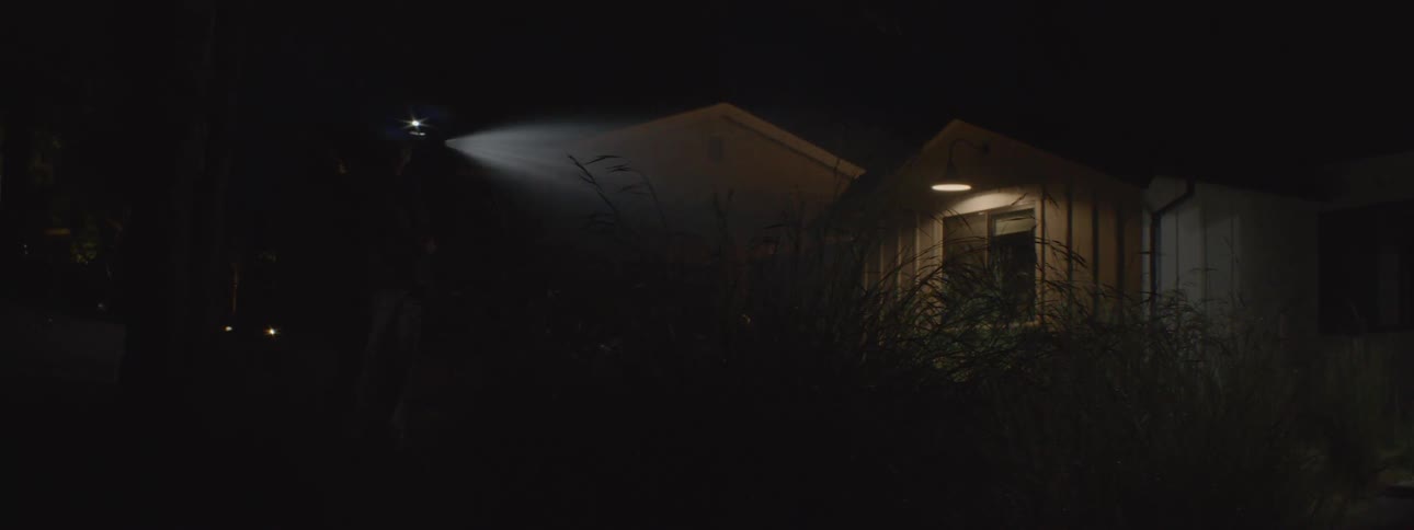 Someone is outside of their house at night watering the plants with a hose in the dark