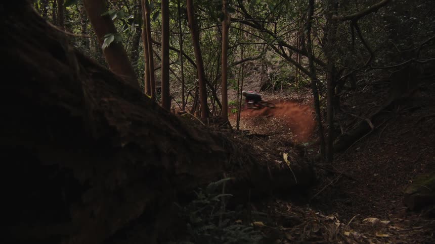 A cyclist rides around a dirt trail in the woods