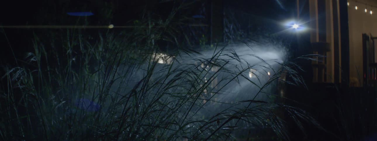 Person stands outside at night watering plant