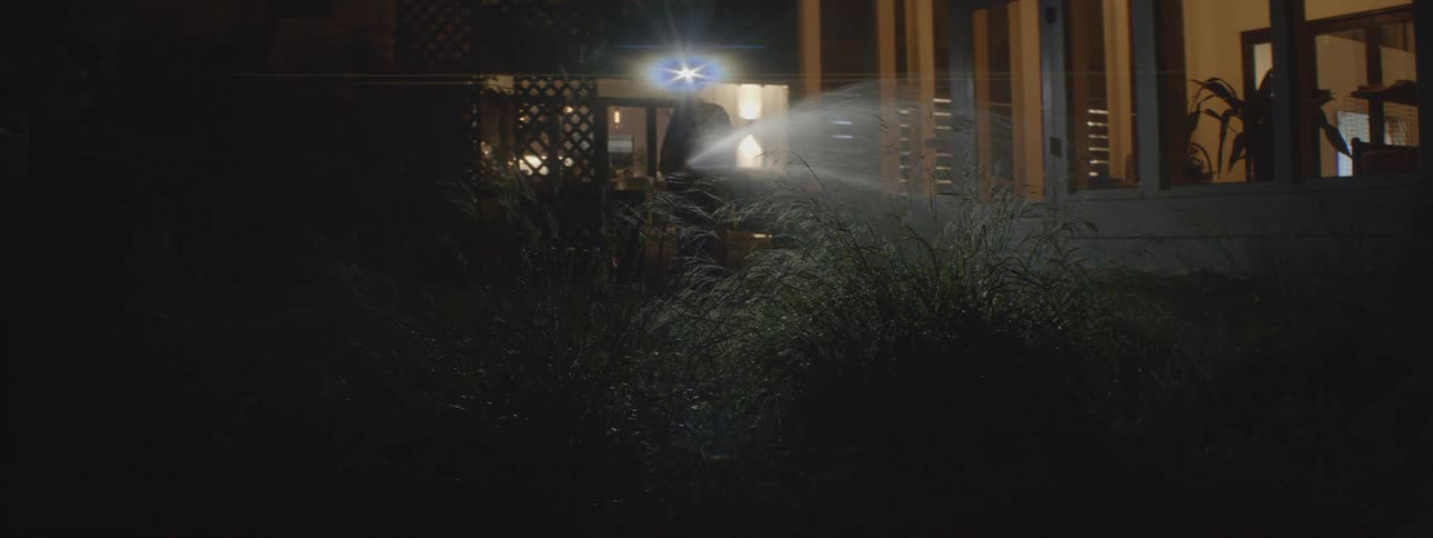 Person partly obscured by light with a halo waters garden with a hose at night