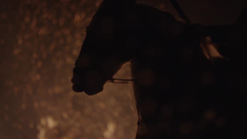 A horse and a rider carrying a weapon move forward and back near a burning fire
