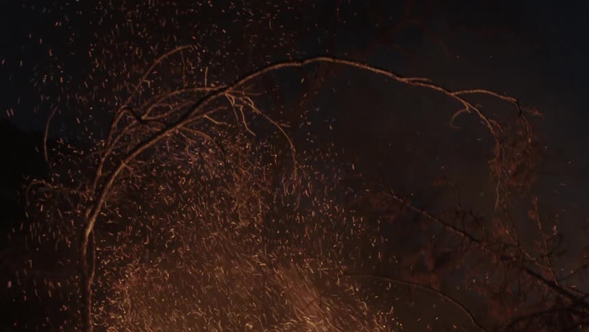 Sparks floating into the sky as a pile of branches burns