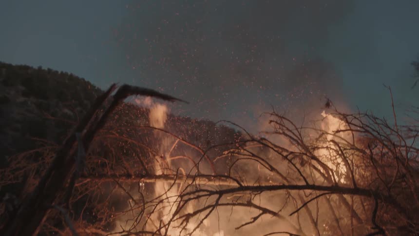 Fallen trees and branches on fire sending smoke to a dusk sky
