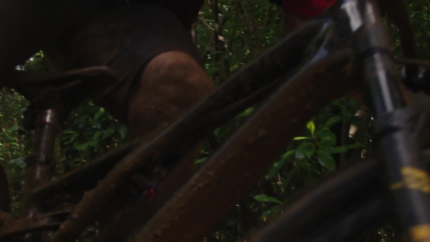 A cyclist rides through the woods