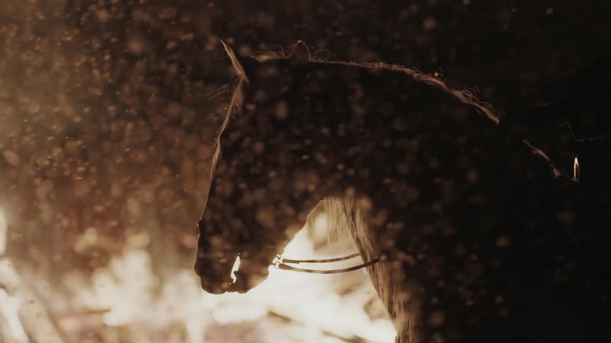 A man rides a horse near a fire