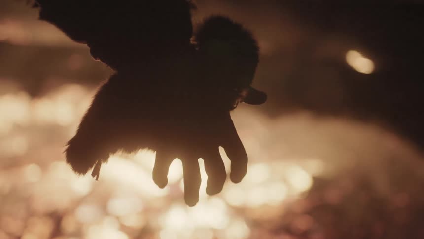 A person's hand moves across a large fire at night