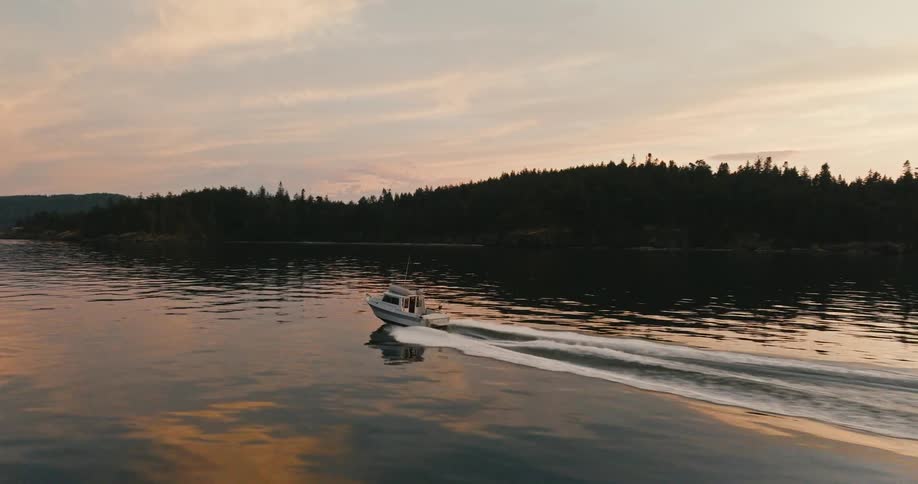 Boat moves through reflective water quickly leaving a foaming wake near forested shore