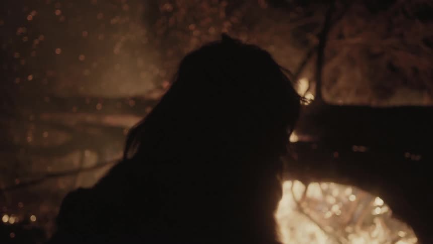 A bearded man is shown in profile at night standing before a burning bonfire of trees and tree branches