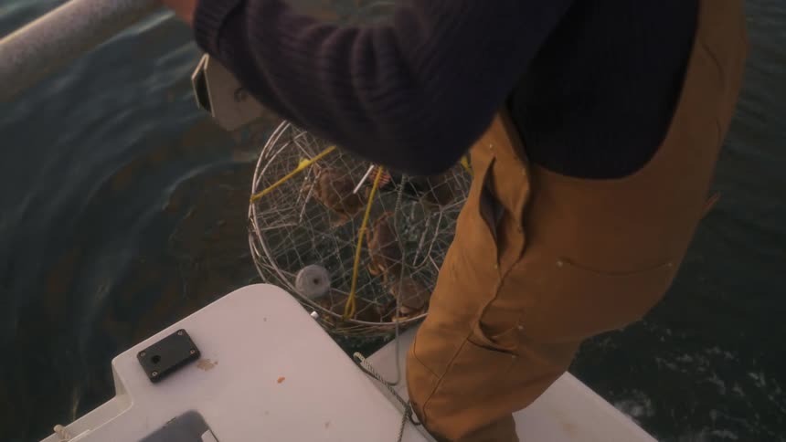 Man standing on edge of boat hauls crab trap up
