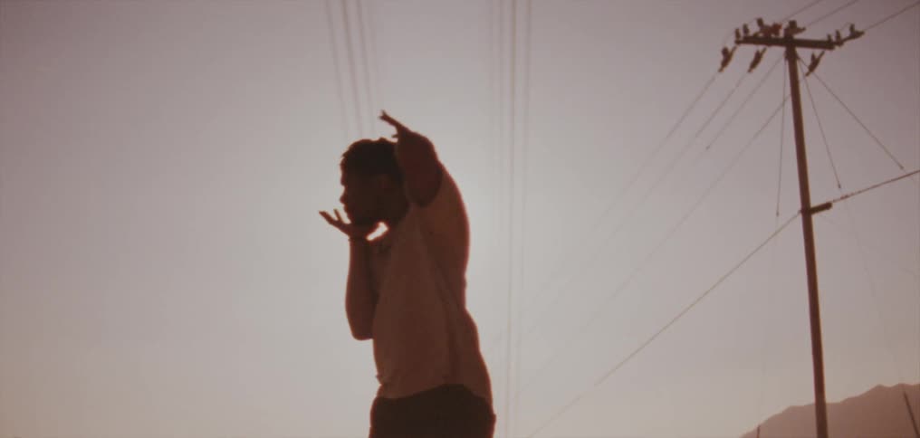 Male dancer dances outdoors under power lines overlooked by perched birds with misty ridge in the background