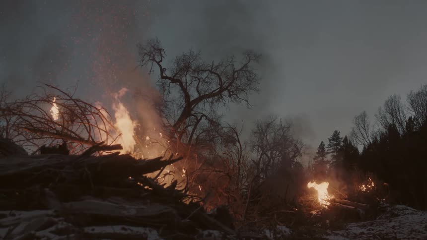 Burning trees, logs, and branches send smoke to the sky