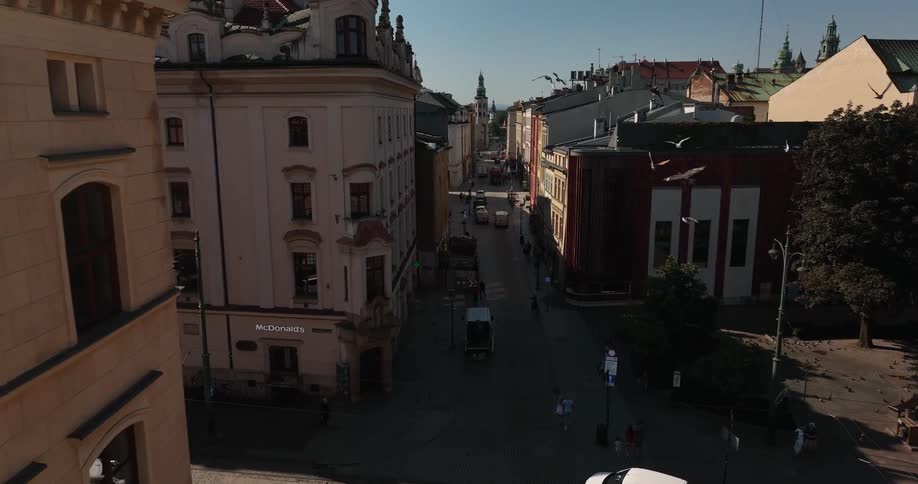 Aerial view of pigeons flying between the beautiful buildings on an european city street