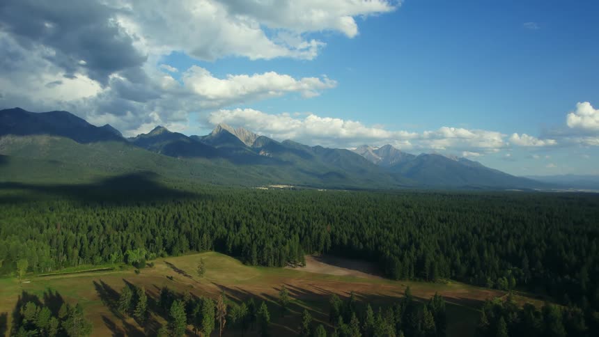 Aerial view of green dense forest with distant mountains