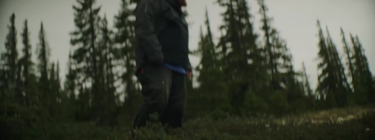 A man stands near a forest and looks at his surroundings