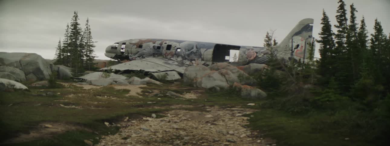 Exterior view of plane wreck