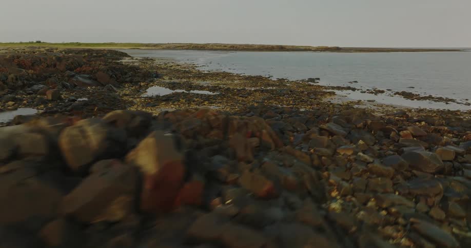 The river ends at the shore