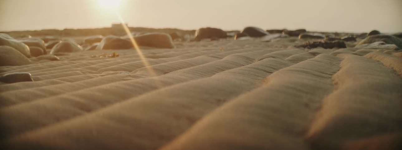 A close up of the sun shining down on soil