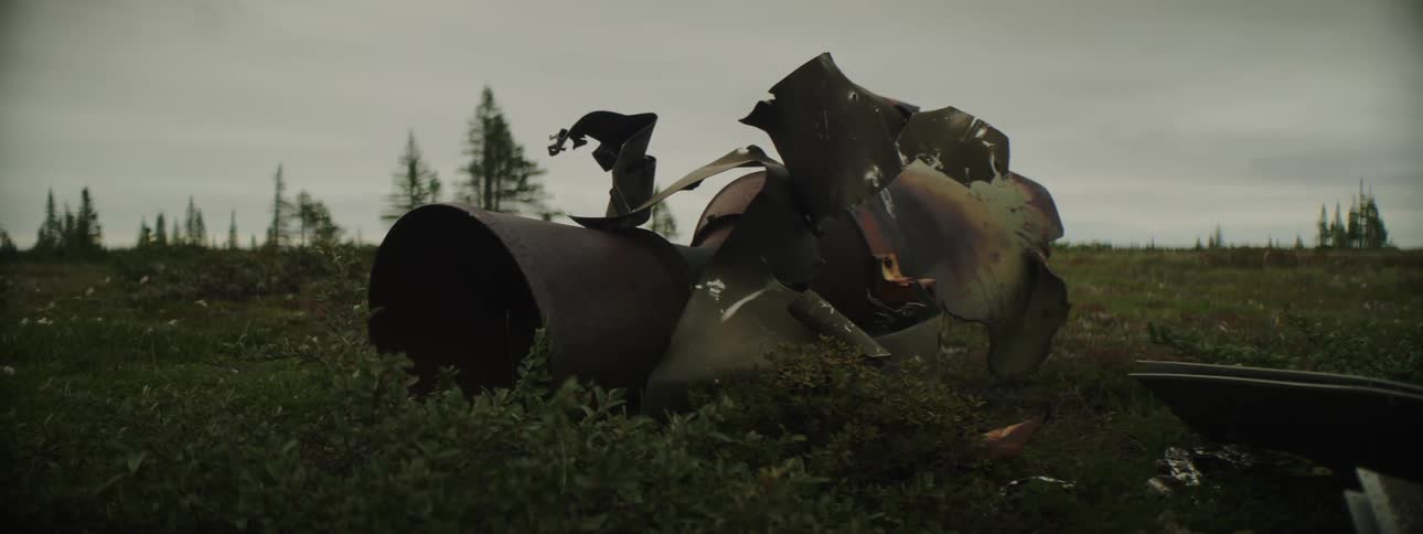 Parts of wreckage of aircraft in green field on cloudy day