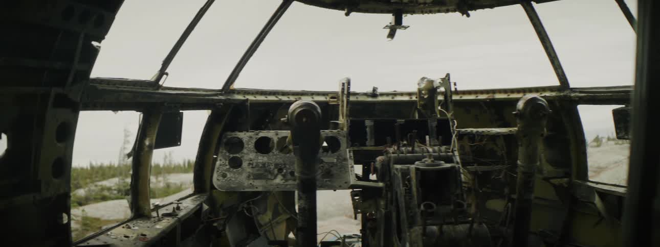 Abandoned damaged plane sits near conifer forest