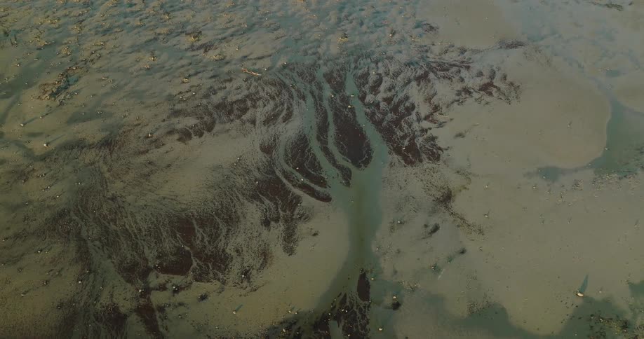 Orbiting aerial view of banks of dark sand on the streams of a marsh