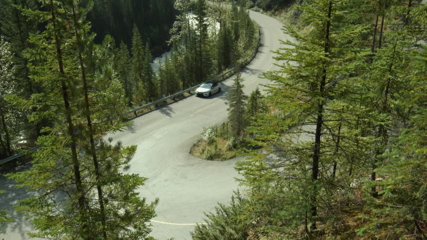 A car traveling on a winding mountain road surrounded by pine trees