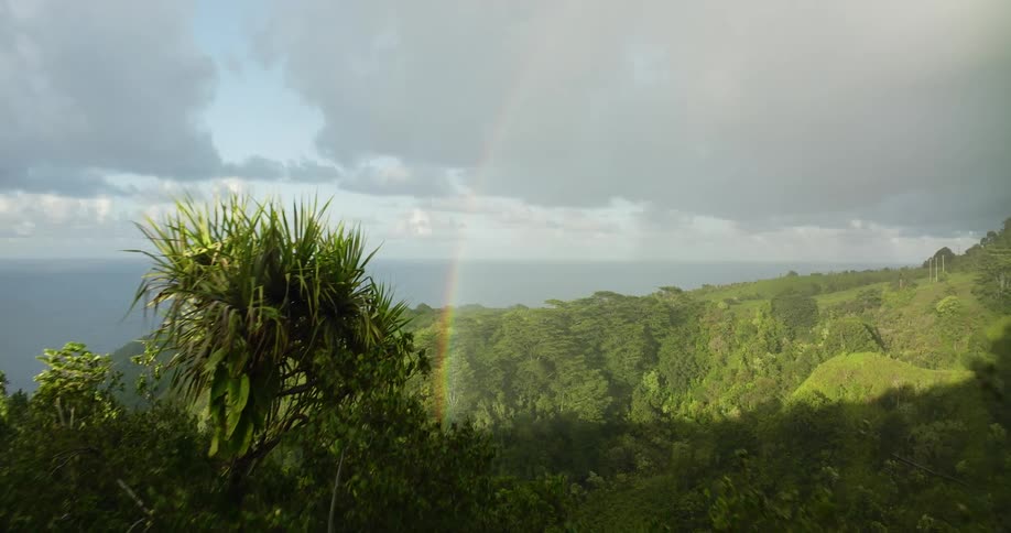 A rainbow looms in the sky over a mountainous coast covered in dense forest