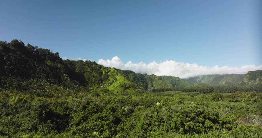 An aerial view of a forest with mountains