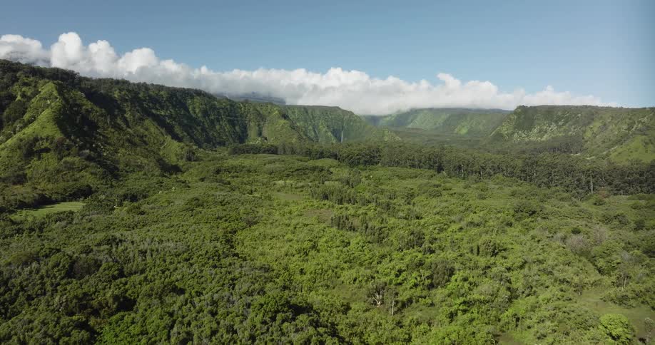 Dense forest and vegetation cover a vast mountain valley under a blue daytime sky