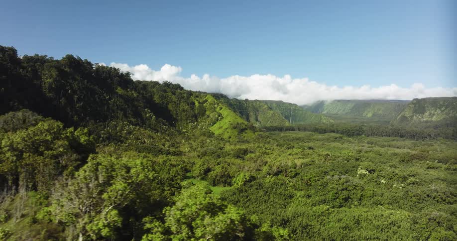 Aerial view of green wooded valley