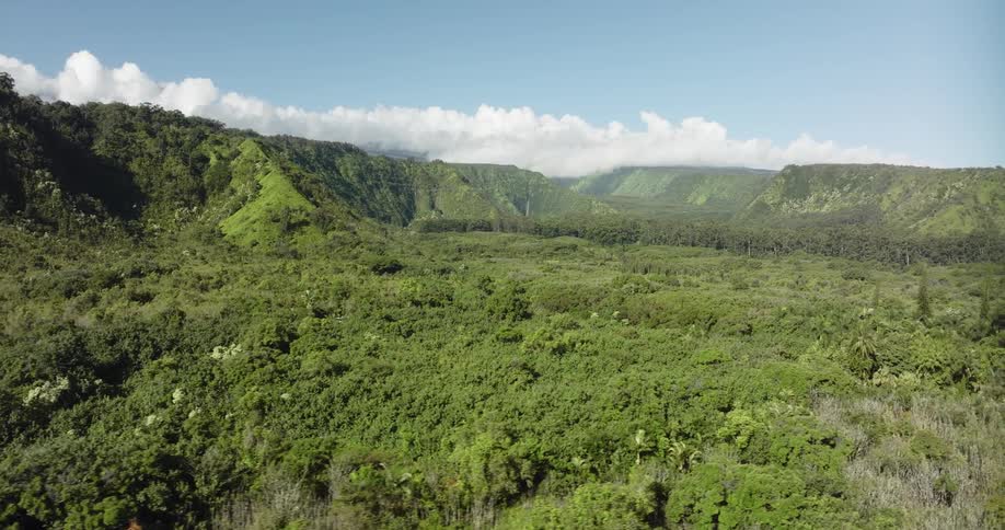 Aerial view of wooded green valley