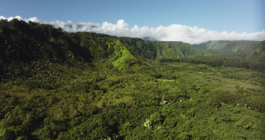 Aerial view of wooded green valley
