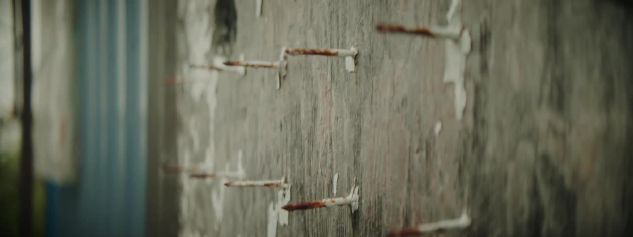 Close up view of nails in a fence is displayed