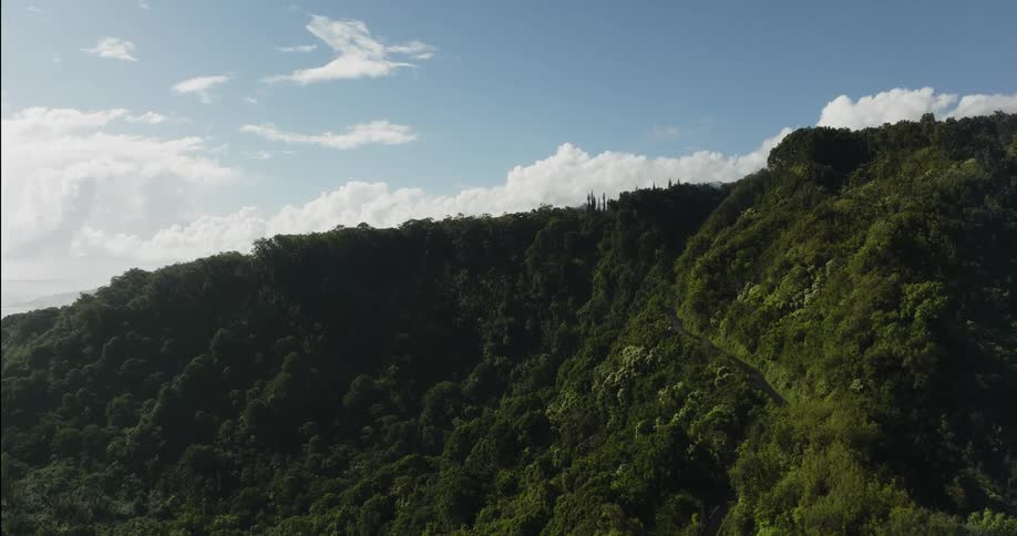 Road winds along side of forested mountain under a cloudy sky