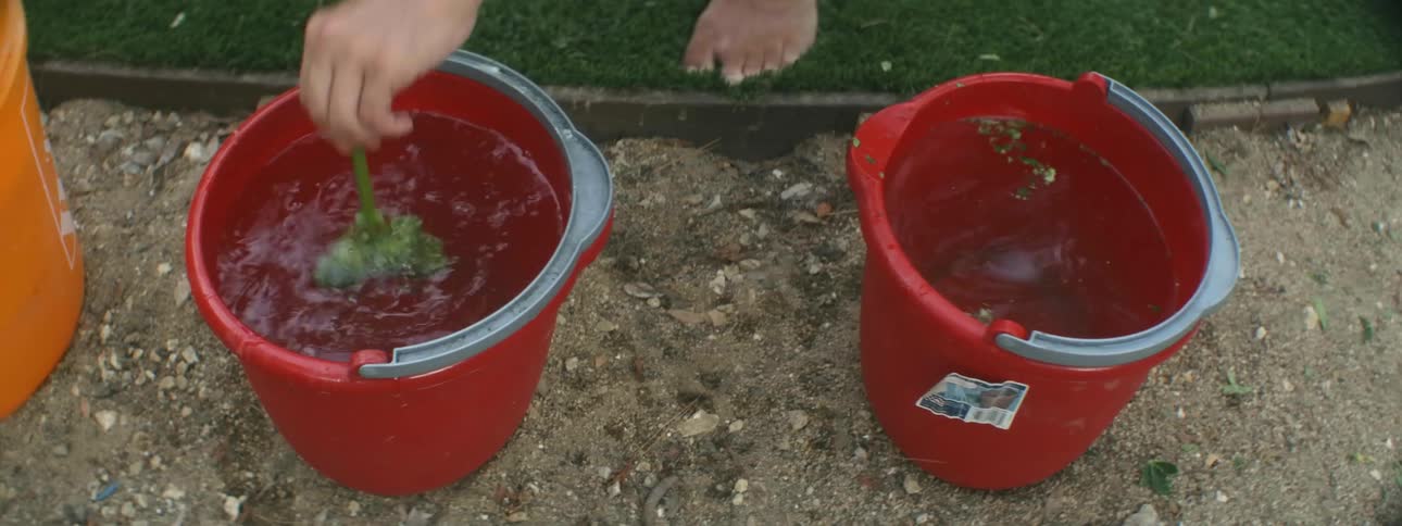 Man dips plant in red buckets with water