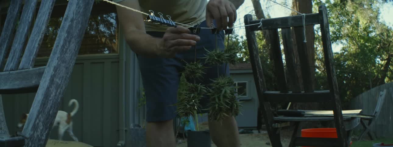 A man is hanging drugs on the clothes line