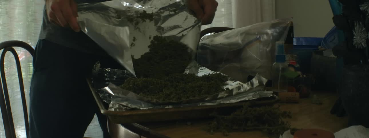 A man carries dried herb on aluminum foil to the table and shakes onto a foil lined tray