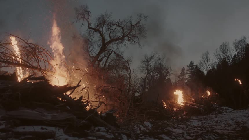 A fire burns in a forest