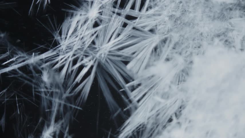Time lapse close up of of sharp thin ice crystals forming