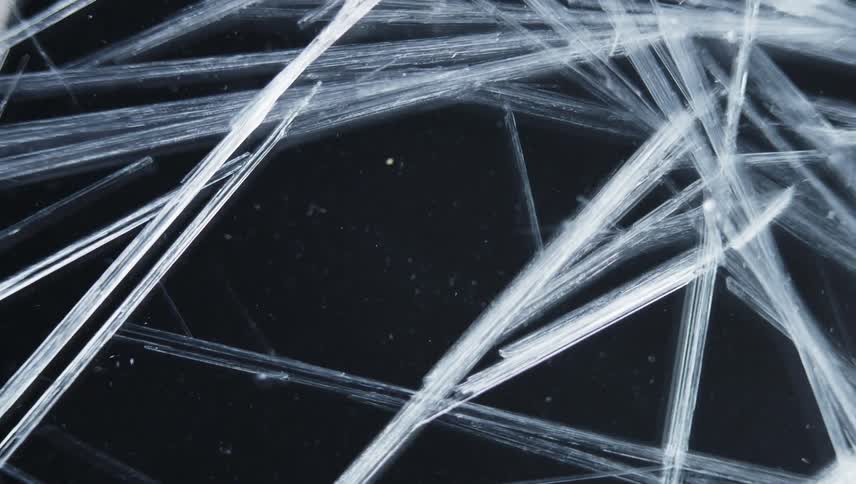 Thin white organic lines grow as they move across the darkness