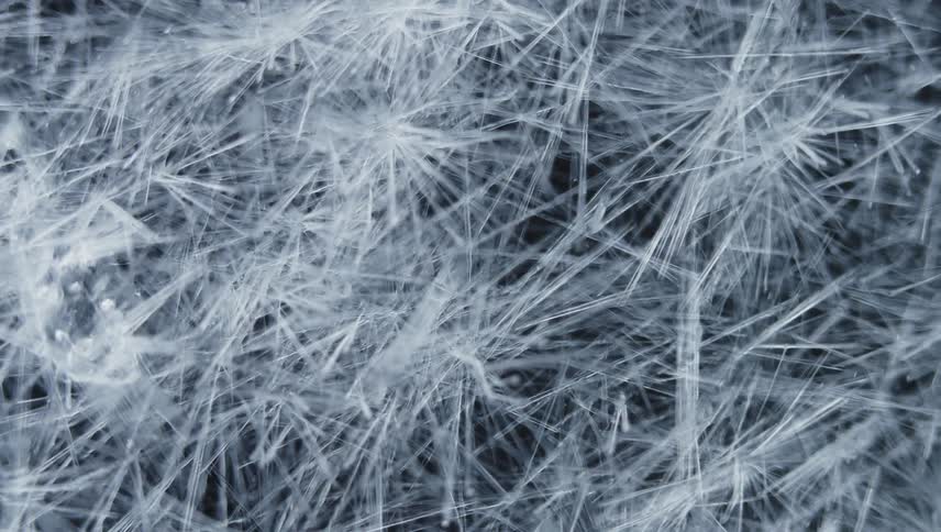 Light shines on strands of organic fiber as they cross paths as they grow in the darkness