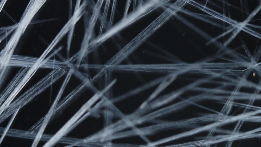 Organic white lines grow and spread like cracks across the darkness