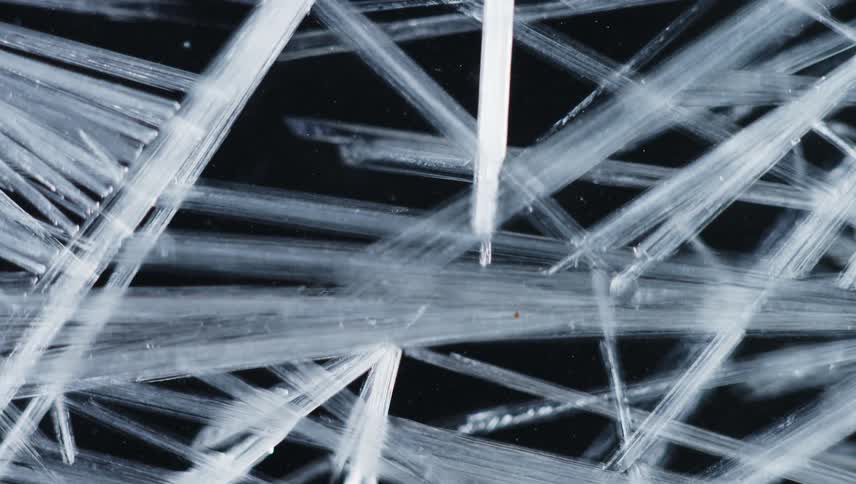 Light shines on strands of organic fiber as they cross paths as they grow in the darkness
