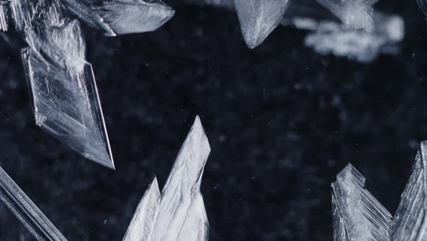 Organic objects grow as they move across the darkness