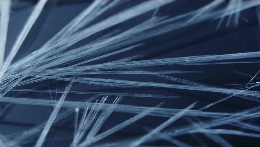 Thin white lines grow and multiply as they move across the darkness
