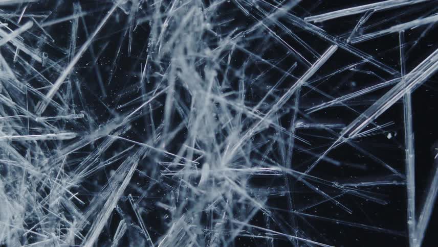 Organic white lines grow as they branch out and multiply as they move across the darkness