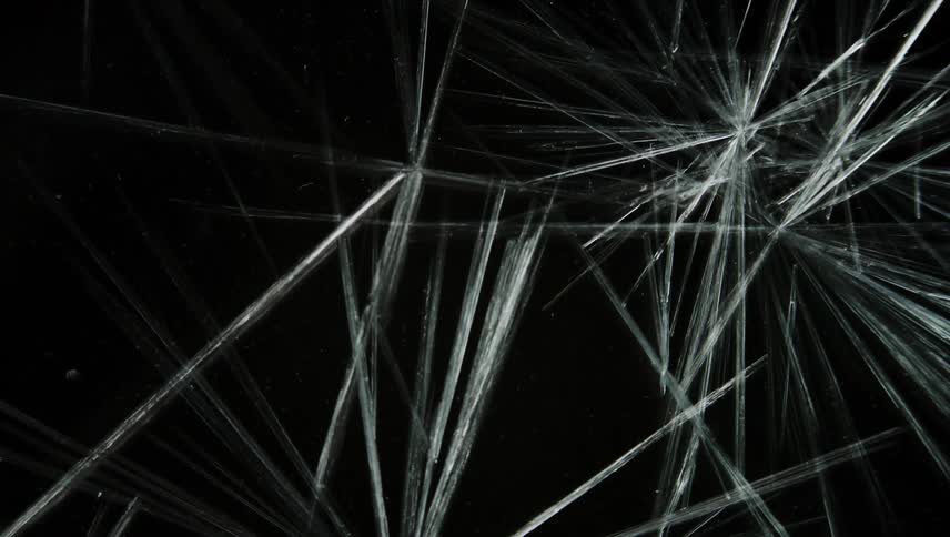 Ice crystals are being formed in water and are shown slowly evolving and highly magnified