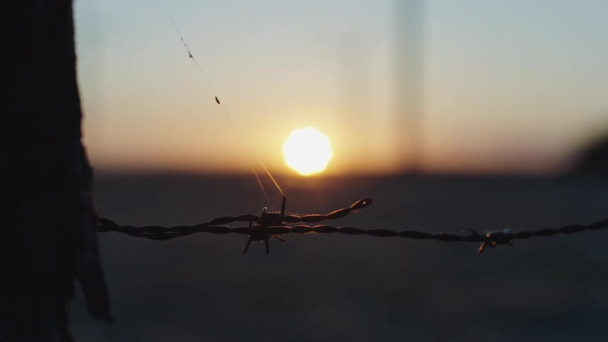 The barbwire is before the field