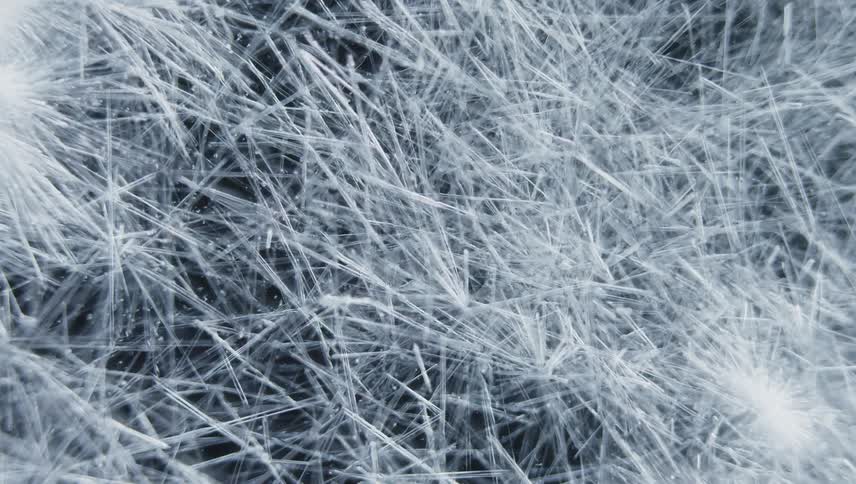 Crystals move all over the ice