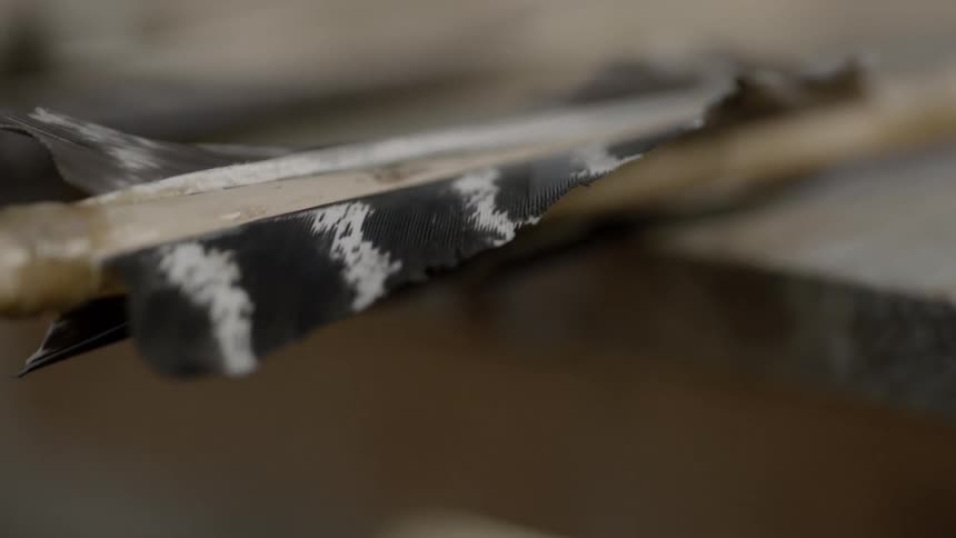 The end of a feathered arrow,